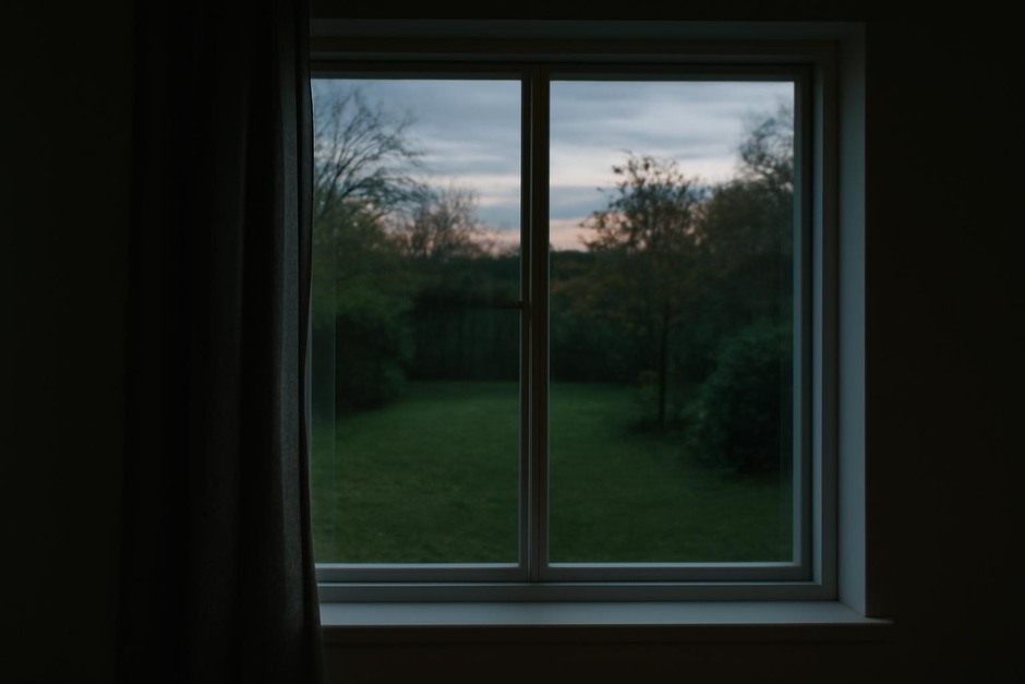 Looking through a window at a quiet backyard at dusk